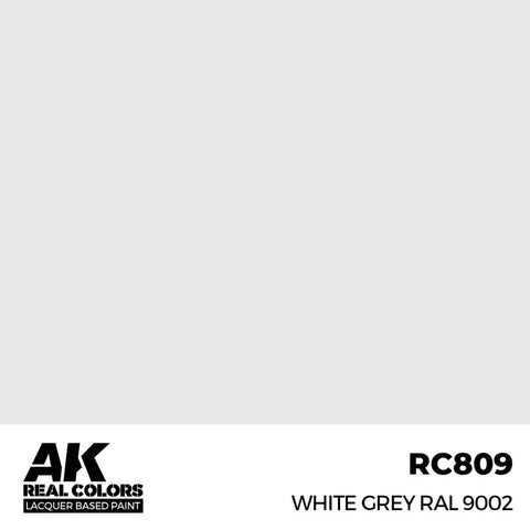 AK Real Color White Grey RAL 9002