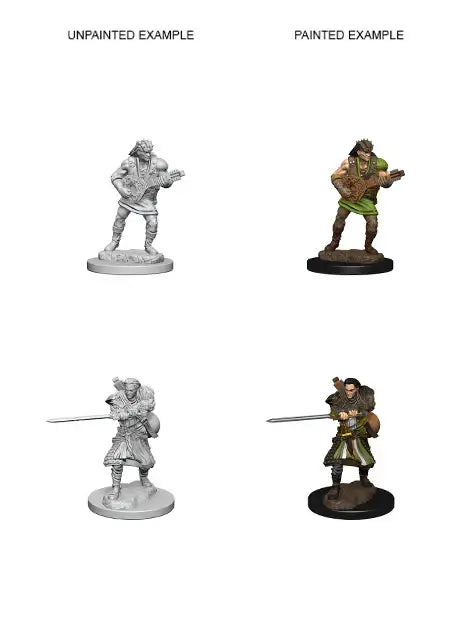 A D&D NOLZUR'S MARVELOUS MINIATURES: HUMAN MALE BARD priced at $7.99 available from Echelon Hobbies