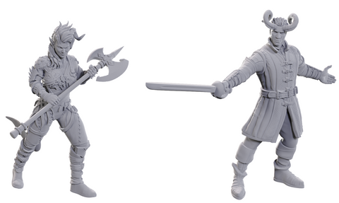 D&D BALDUR'S GATE 3 - WYLL & KARLACH