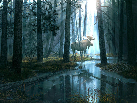 CAUGHT BY LIGHT - 300 Piece Puzzle