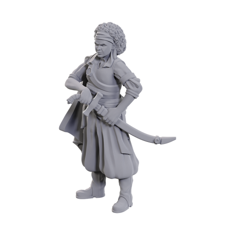 DND UNPAINTED MINIS WV23 ANSALON HUMAN ROGUE