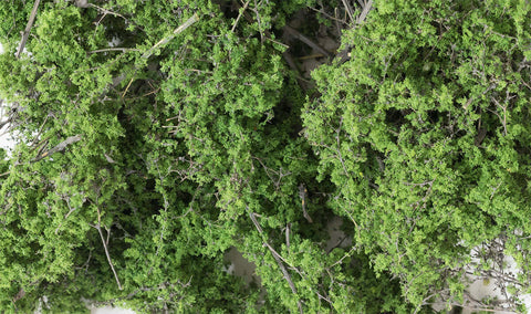 A MEDIUM GREEN FINE-LEAF FOLIAGE (75C.I.) priced at $32.99 available from Echelon Hobbies