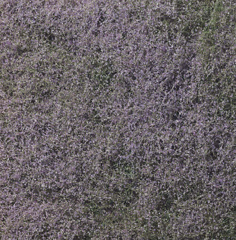 A PURPLE FLOWERING FOLIAGE (100 S.I.) priced at $8.99 available from Echelon Hobbies