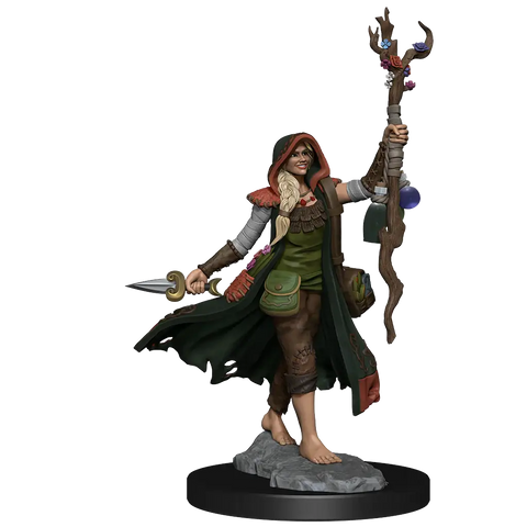 A D&D FRAMEWORKS: HUMAN DRUID FEMALE - UNPAINTED AND UNASSEMBLED priced at $21.99 available from Echelon Hobbies