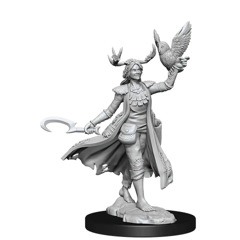 A D&D FRAMEWORKS: HUMAN DRUID FEMALE - UNPAINTED AND UNASSEMBLED priced at $21.99 available from Echelon Hobbies