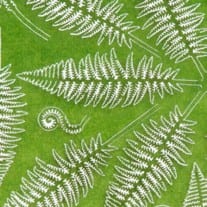 A AK Interactive Fern priced at $16.99 available from Echelon Hobbies