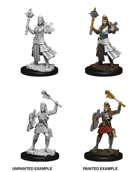 A D&D NOLZUR'S MARVELOUS MINIATURES - FEMALE HUMAN CLERIC priced at $7.99 available from Echelon Hobbies