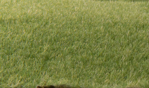 Woodland Scenics Static Grass - medium green 2mm