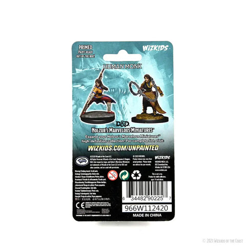 A D&D NOLZUR'S MARVELOUS MINIATURES: HUMAN MONK FEMALE priced at $7.99 available from Echelon Hobbies