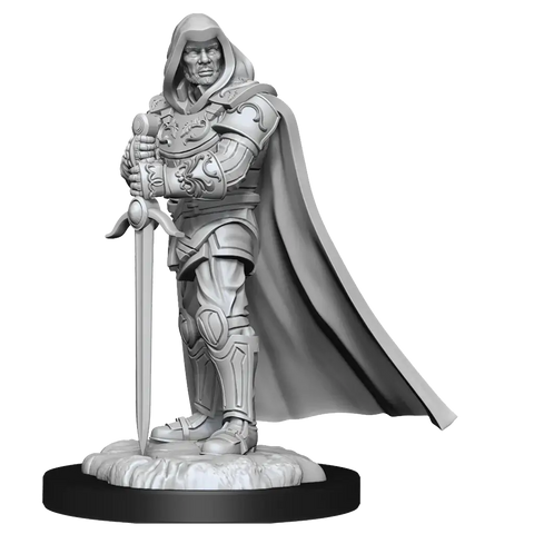 A D&D NOLZUR'S MARVELOUS MINIATURES: HUMAN PALADIN MALE priced at $7.99 available from Echelon Hobbies