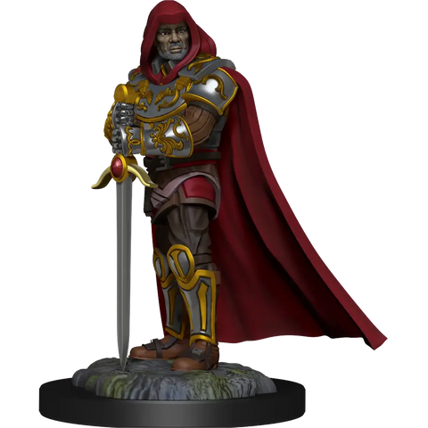 A D&D NOLZUR'S MARVELOUS MINIATURES: HUMAN PALADIN MALE priced at $7.99 available from Echelon Hobbies