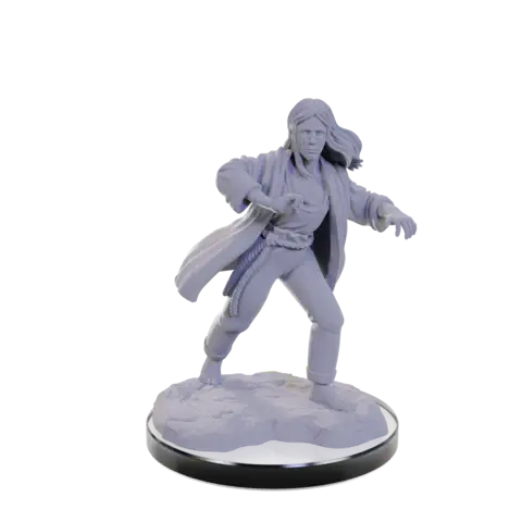 A DND UNPAINTED MINIS WV22 REBORN PALADIN/WARLOCK priced at $7.99 available from Echelon Hobbies