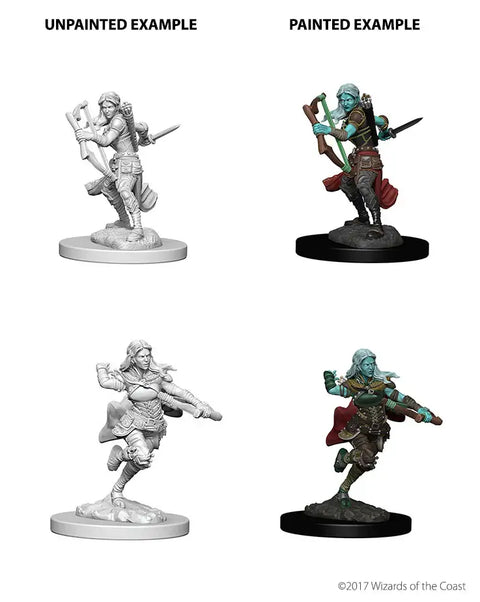 A D&D NOLZUR'S MARVELOUS MINIATURES: AIR GENASI FEMALE ROGUE priced at $7.99 available from Echelon Hobbies