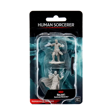 A D&D NOLZUR'S MARVELOUS MINIATURES: MALE HUMAN SORCERER priced at $7.99 available from Echelon Hobbies