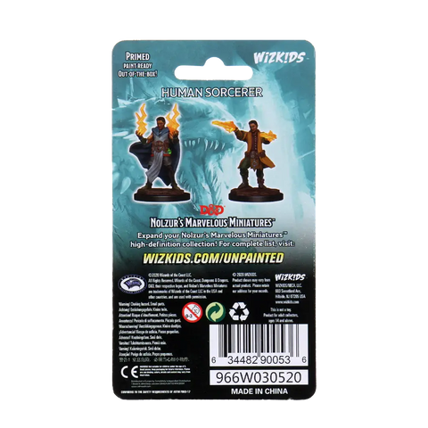 A D&D NOLZUR'S MARVELOUS MINIATURES: MALE HUMAN SORCERER priced at $7.99 available from Echelon Hobbies